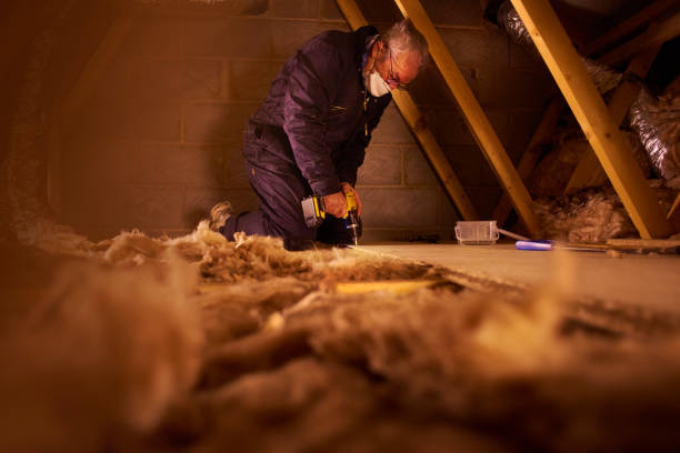 Best Insulation Maintenance and Repair in Show Low, AZ
